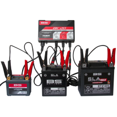 BS BATTERY Cargador de bateria inteligente BK20 6V/12V 3x2A 1105619