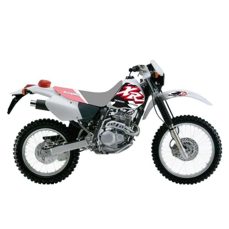 BLACKBIRD RACING KIT ADHESIVOS PEGATINAS 1062882