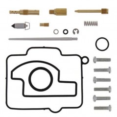 ALL BALLS Carburetor repair kit 1118316