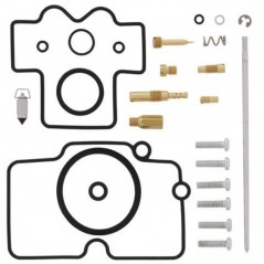 ALL BALLS Carburetor repair kit 1118361