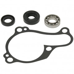 HOT RODS Water pump repair kit 1118627