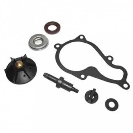 TOP PERFORMANCES Water pump repair kit 1118629