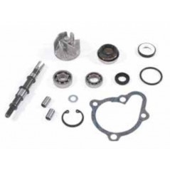 TOP PERFORMANCES Water pump repair kit 1118630
