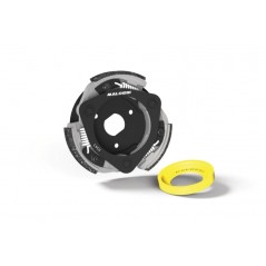 MALOSSI CLUTCH, ADJUSTABLE MAXI DELTA Ø135 MM 1118690