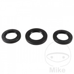 ALL BALLS Quad front differential bearing repair kit 773.16.87