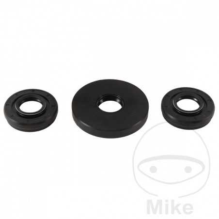 ALL BALLS Quad front differential bearing repair kit 773.16.89