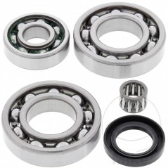 ALL BALLS Quad front/rear differential bearing repair kit 773.16.90