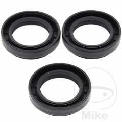 ALL BALLS Quad front differential bearing repair kit 773.16.96