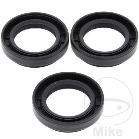 ALL BALLS Quad front differential bearing repair kit 773.16.96