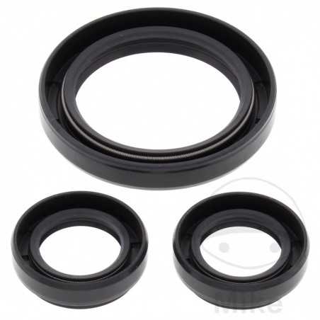 ALL BALLS Quad front differential bearing repair kit 773.16.98