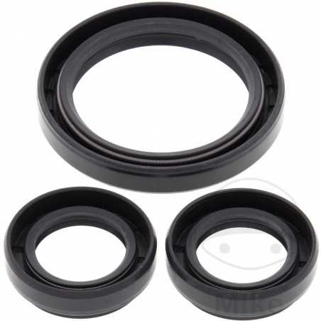 ALL BALLS Quad front differential bearing repair kit 773.17.04