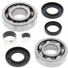 ALL BALLS Quad front differential bearing repair kit 773.17.15