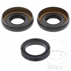 ALL BALLS Quad front differential bearing repair kit 773.17.24