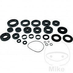 ALL BALLS Complete repair kit for front differential bearings for quads 773.17.91