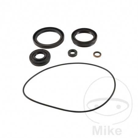 ALL BALLS Quad front differential bearing repair kit 773.18.04