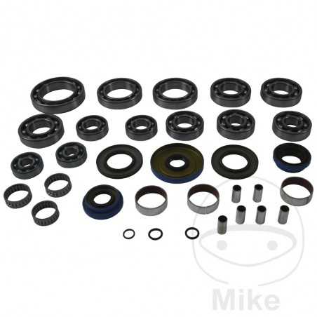 ALL BALLS Complete repair kit for front differential bearings for quads 773.18.09