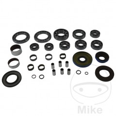 ALL BALLS Complete repair kit for front differential bearings for quads 773.18.12