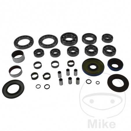 ALL BALLS Complete repair kit for front differential bearings for quads 773.18.12