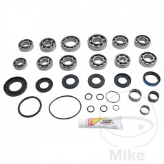 ALL BALLS Complete repair kit for front differential bearings for quads 773.18.16