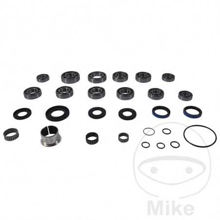 ALL BALLS Complete repair kit for front differential bearings for quads 773.18.17