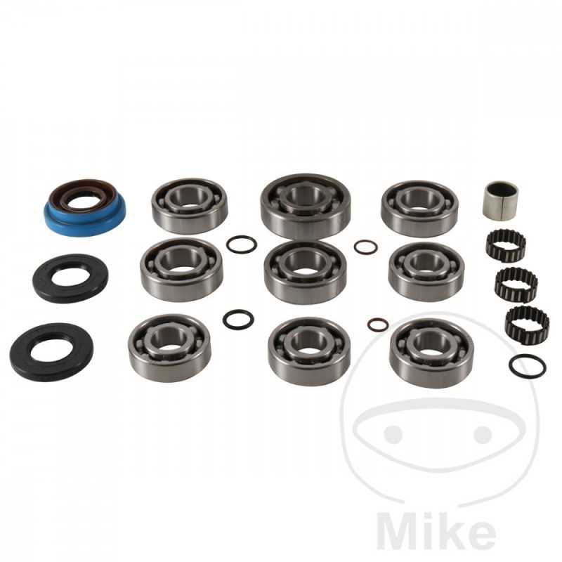 ALL BALLS Complete repair kit for front differential bearings for quads 773.18.18