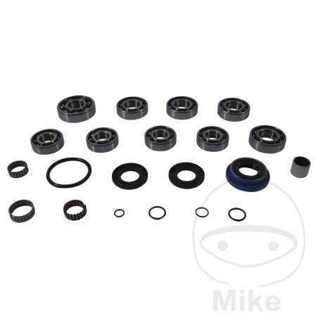 ALL BALLS Kit completo reparación rodamientos de diferencial delantero para quad 773.18.19