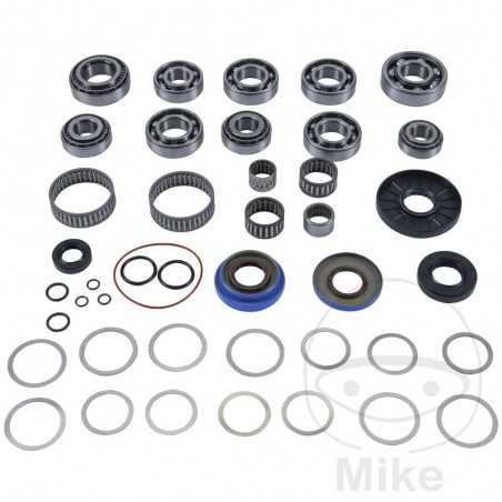 ALL BALLS Complete repair kit for front differential bearings for quads 773.18.21