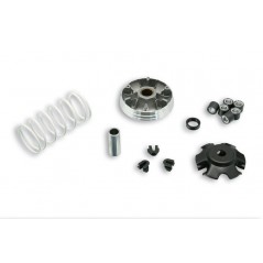 MALOSSI Variador moto MULTIVAR 2000 1020699
