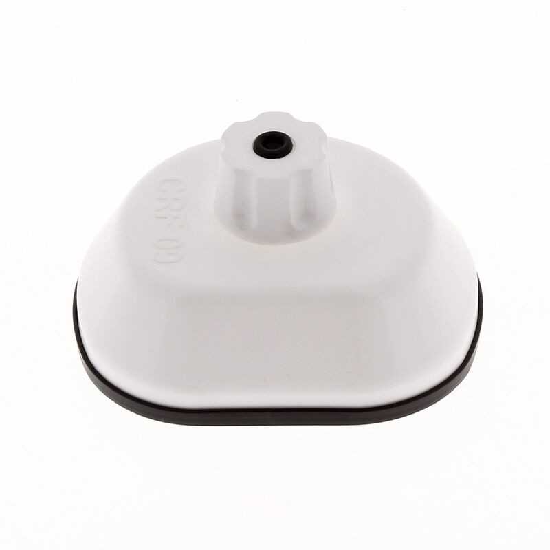 TECNIUM Tapa de lavado filtro aire 1099062