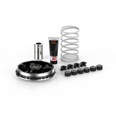 MALOSSI Variador moto MULTIVAR 2000 1106967