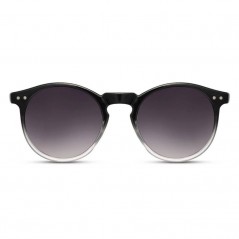 FASEBA Unisex Casual Plastic Frame Sunglasses 07221