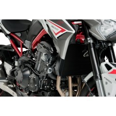 PUIG Protector lateral de motor S19 21240