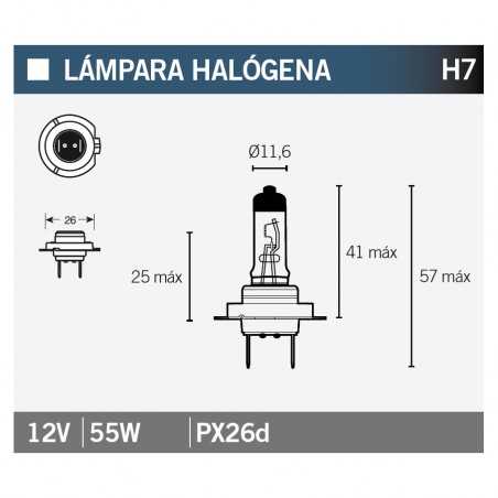 V PARTS LAMP, LIGHT BULB HALOGENA H7 14641