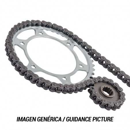 Transmission chain kit  520X1R (15-43-100)