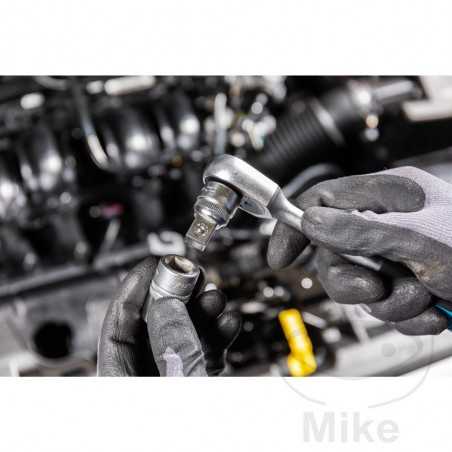 HAZET Adaptador vasos hembra 3/8 ABG 1/2 605.72.51