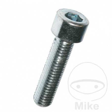 DRESSELHAUS zinc plated allen screw 6x10 912 8.8
 (100U) 481.61.04