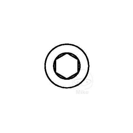 DRESSELHAUS zinc plated allen screw 6x10 912 8.8
 (100U) 481.61.04