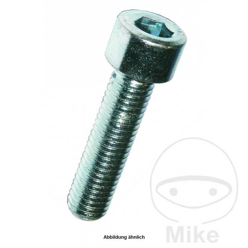 DRESSELHAUS Tornillo allen 10X30 912 VZ8.8
 (100U) 483.05.76