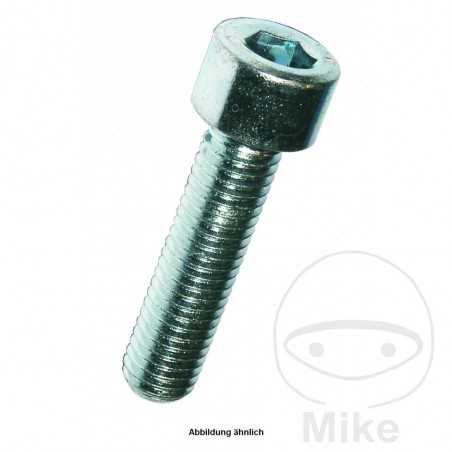 DRESSELHAUS Tornillo allen 10X30 912 VZ8.8
(100U) 483.05.76