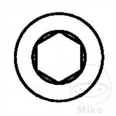 DRESSELHAUS Allen screw 10X30 912 VZ8.8
 (100U) 483.05.76