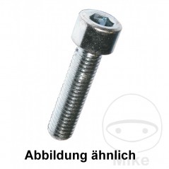 DRESSELHAUS Allen screw A2 5X12 DIN912
 (100U) 736.04.07