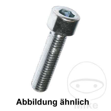 DRESSELHAUS Tornillo allen A2 5X12 DIN912
 (100U) 736.04.07