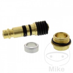 SIN MARCA Tire connection nipple PNEUREX PNEUREX 677.50.43