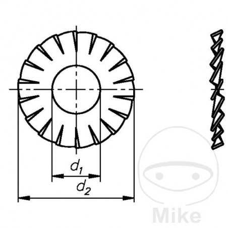 SIN MARCA Spring toothed washer A2 6.4 6798 (100U) A2 6.4 6798 (100U) 736.03.99