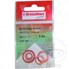 DRESSELHAUS Kit 5 gaskets 7603A 7603A 479.06.55