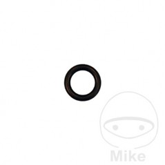 EWO Junta para enganchar la manguera de aire 656.06.76