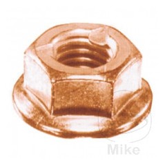 DRESSELHAUS Bag of 100 exhaust nuts 8 X 12 8 X 12 479.13.22