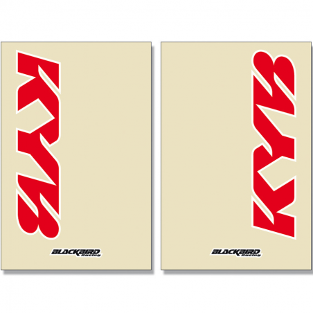 BLACKBIRD RACING Kit gráfico de horquilla transparente Crystal Kayaba 2 Pcs 5045K - Marca 38994