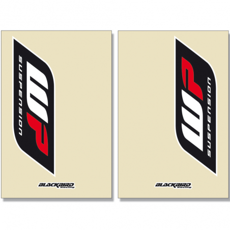 BLACKBIRD RACING Transparent Hairpin Adhesive Crystal Wp 2 Pcs 5045W Crystal Wp 2 Pcs 5045W 38997