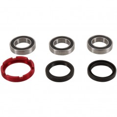 PIVOT WORKS Kit rodamientos rueda trasera 1047518